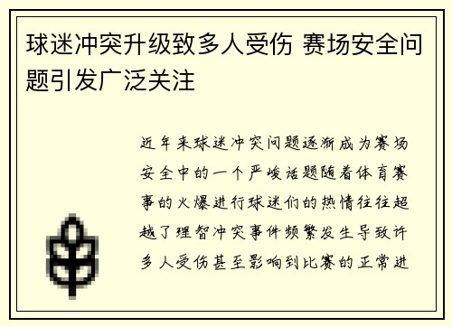 球迷冲突升级致多人受伤 赛场安全问题引发广泛关注